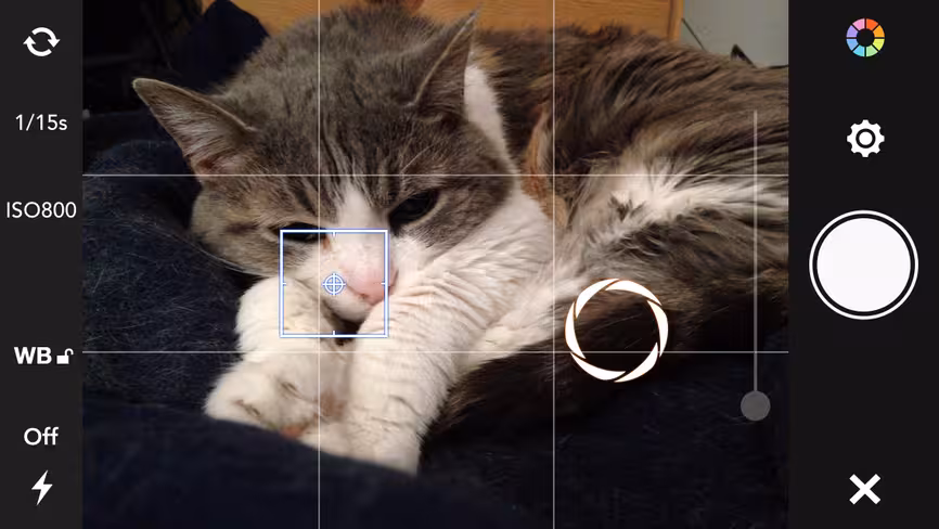 Rookie auto camera settings