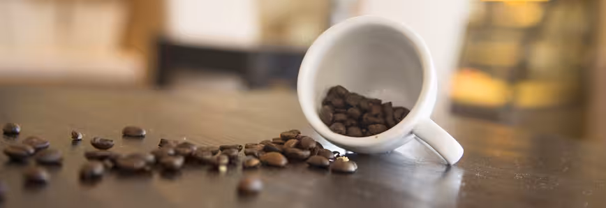 Coffee can wait: 5 lessons your intern really needs to learn this summer