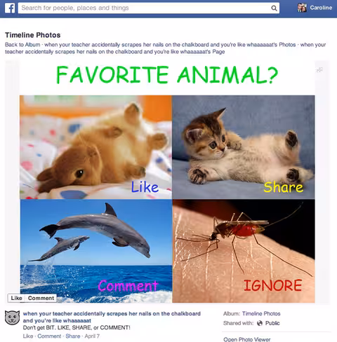 like-baiting-screenshot