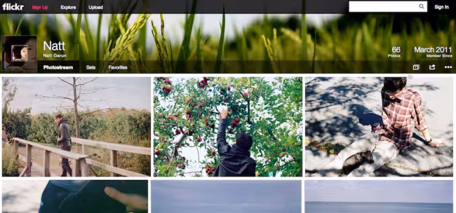 natt flickr