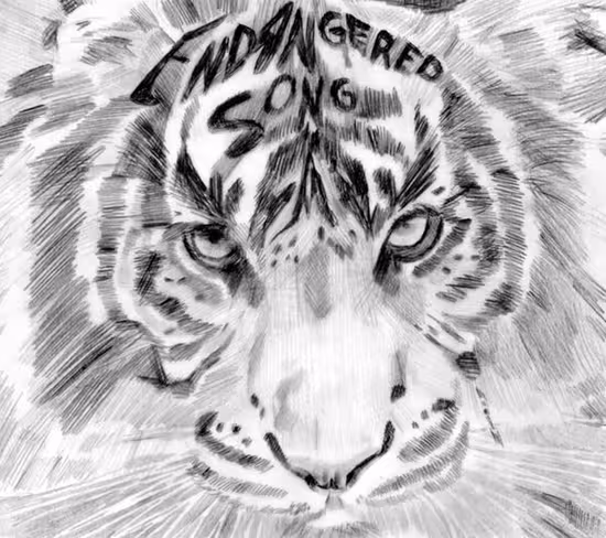 Fan art