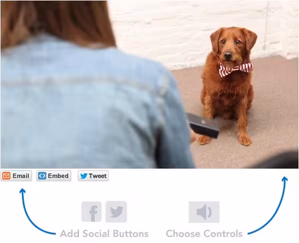 make videos shareable