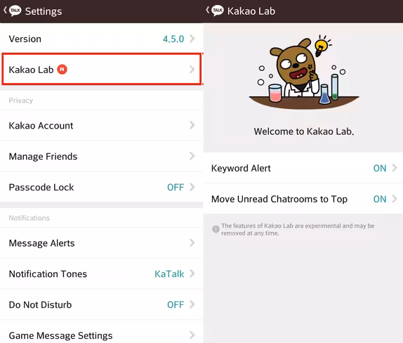 Kakao-Lab-1