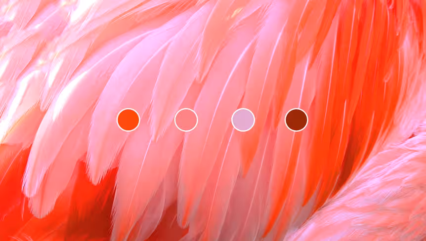 The key to color harmony: Avoiding boredom and chaos Featured Image