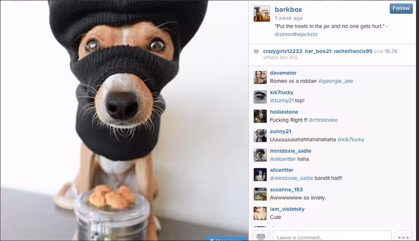Barkbox-Screenshot