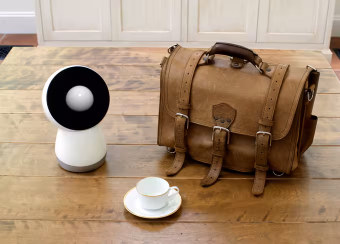 jibo-3
