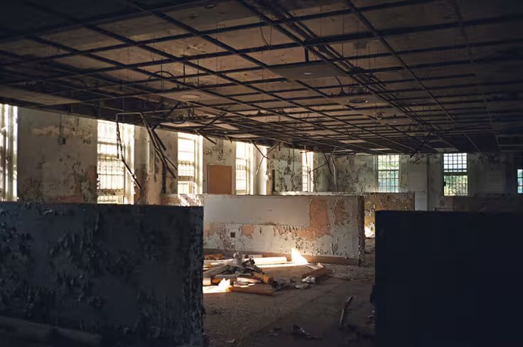 Asylum 5