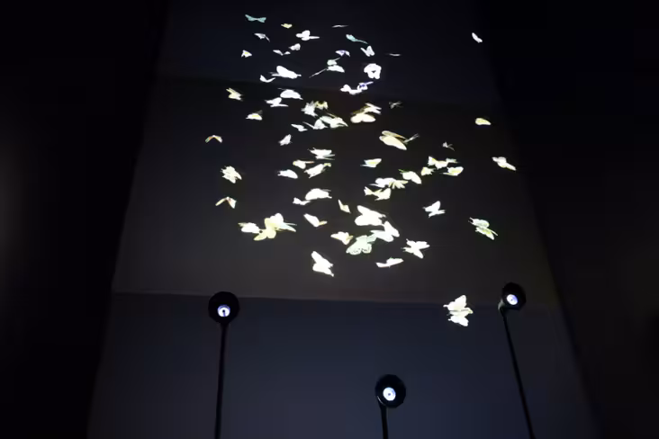 wishwall1