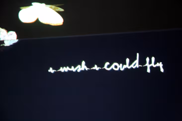 wishwall3
