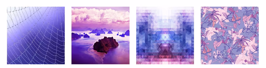 color purple