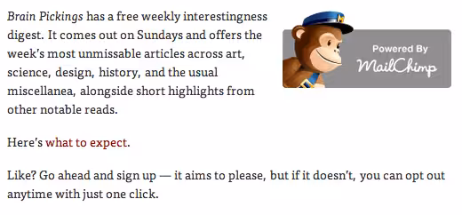 email-expectations