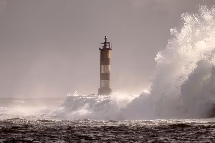 Waves 4