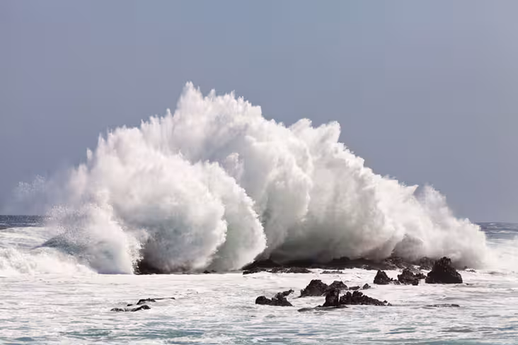 Waves 5