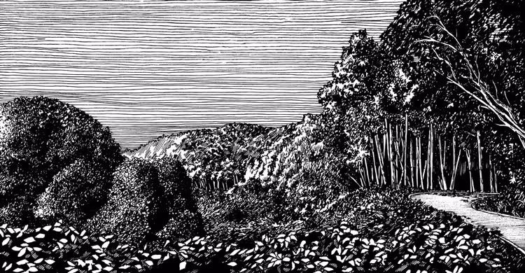 Ink8