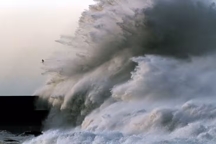 waves 9