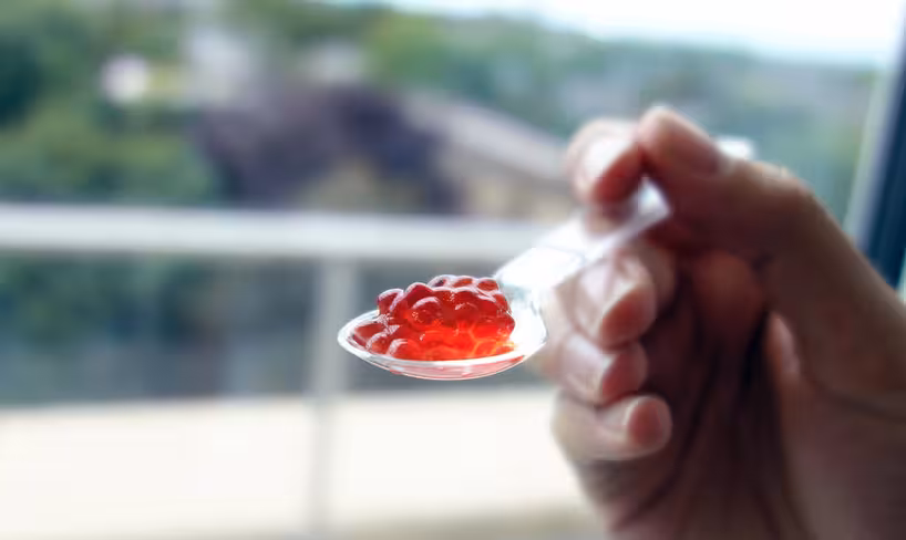 “3D Fruit Printer” by Dovetailed