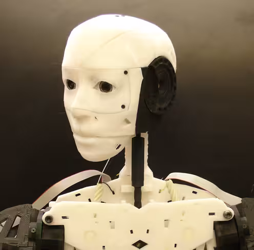 Inmoov5635