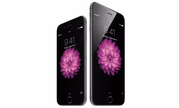 iPhone6-34R-SpGry_iPhone6Plus-34L-SpGry-flwr