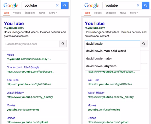 sitelinks search box