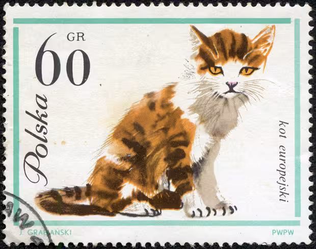 stamps 9