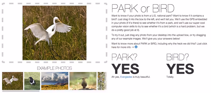 flickrparkorbird