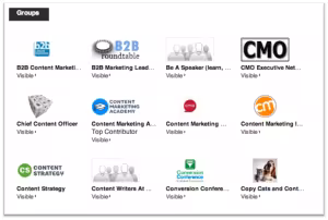 Most social media offer opportunities to join or create special interest groups. Above is a sample of the many LinkedIn Groups I belong to.