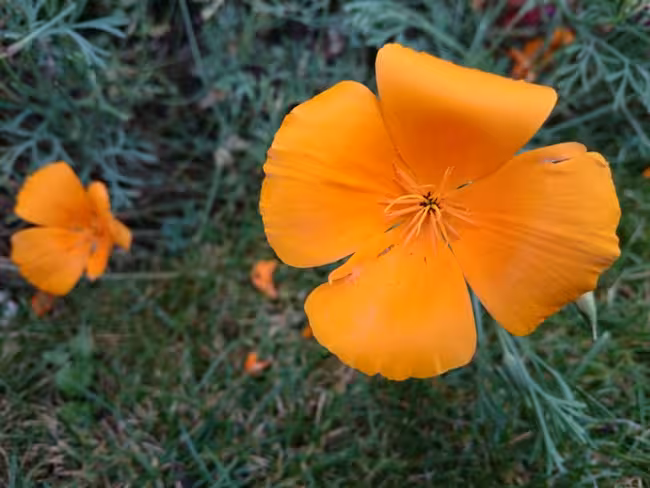 xperiaphoto6