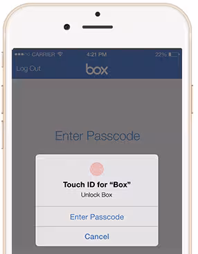 1111_box_ios
