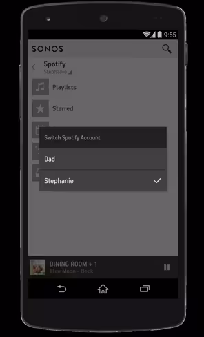 Sonos multi-account