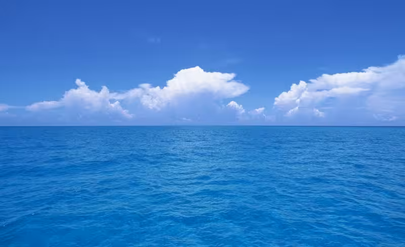 7 trends fueling a blue ocean opportunity for SaaS companies in Asia