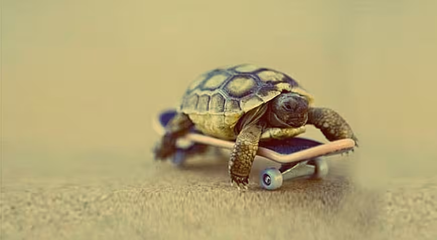 Your developers aren’t slow, your process is