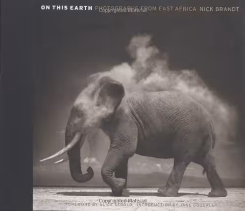 Book 3
