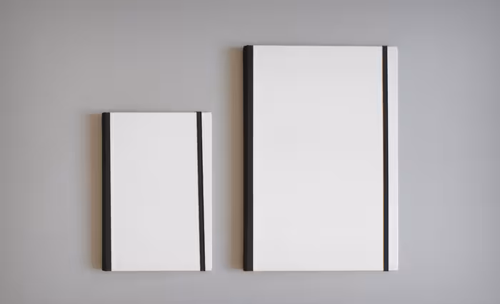 24b35ff60d85c9f90e46b6ab5e100e09_large