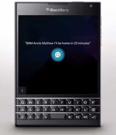 BB Assistant