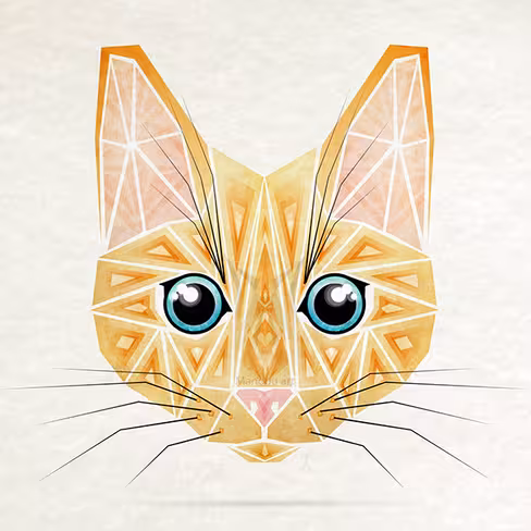 Orange cat