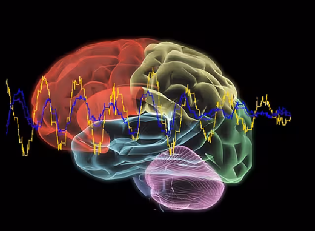 EEG.Brain_