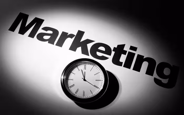 MarketingAudit