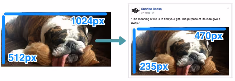 facebook-post-wide-800x278