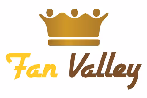 startup-fanvalley