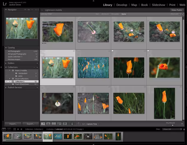 Lightroom 6 overview