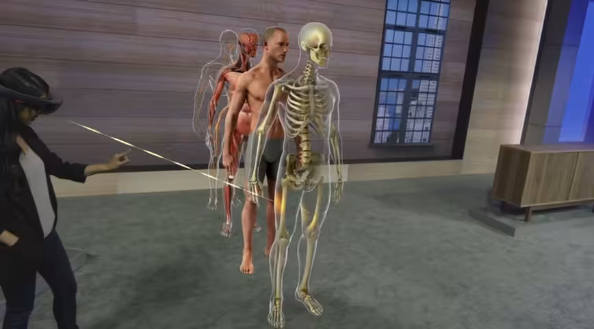 hololens anatomy