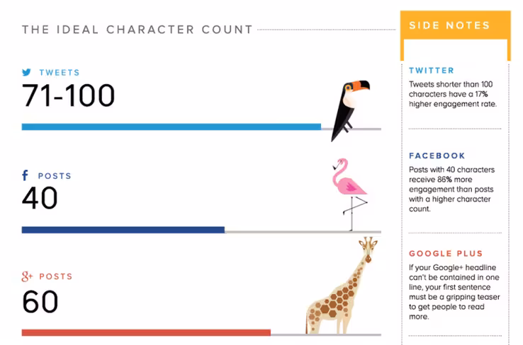 ideal-length-800x529
