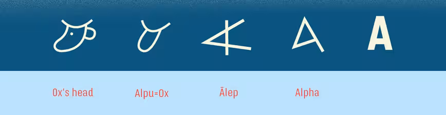 illu-copie