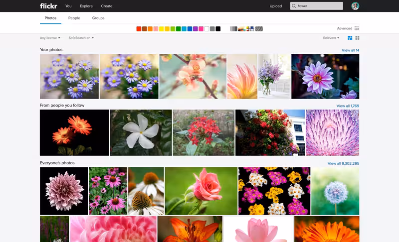Flickr_Web-Search1