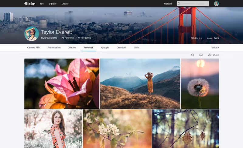 Flickr_Web_Favorites1