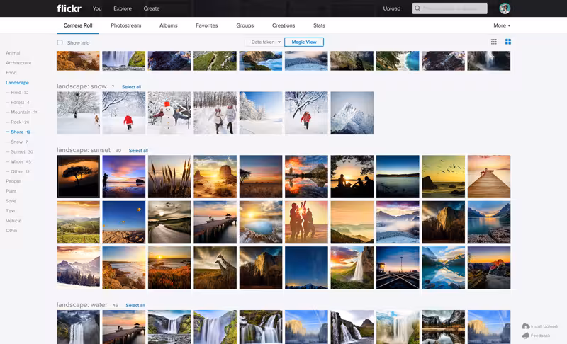 Flickr_Web_Magic-Roll1