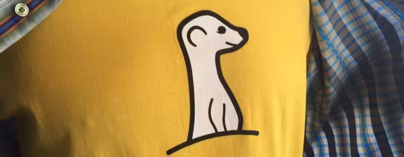 Meerkat1-798x310-798x310