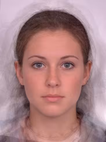 Average of 15 ‘attractive’ female faces. 