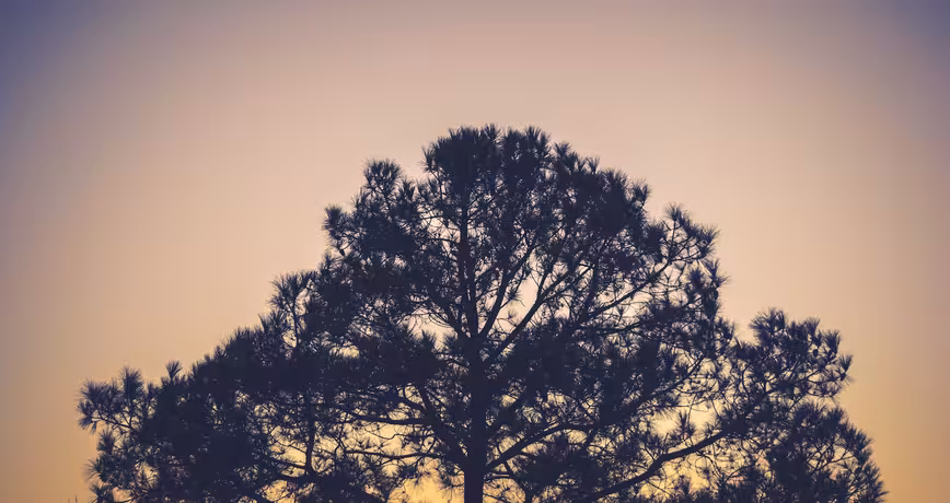 How to start a business (right now!) with less than $20 Featured Image