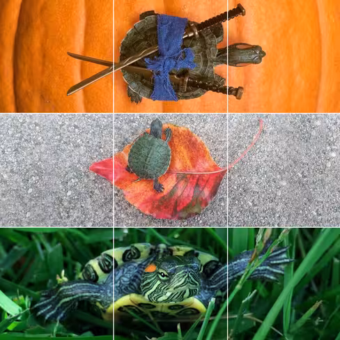 turtles_4